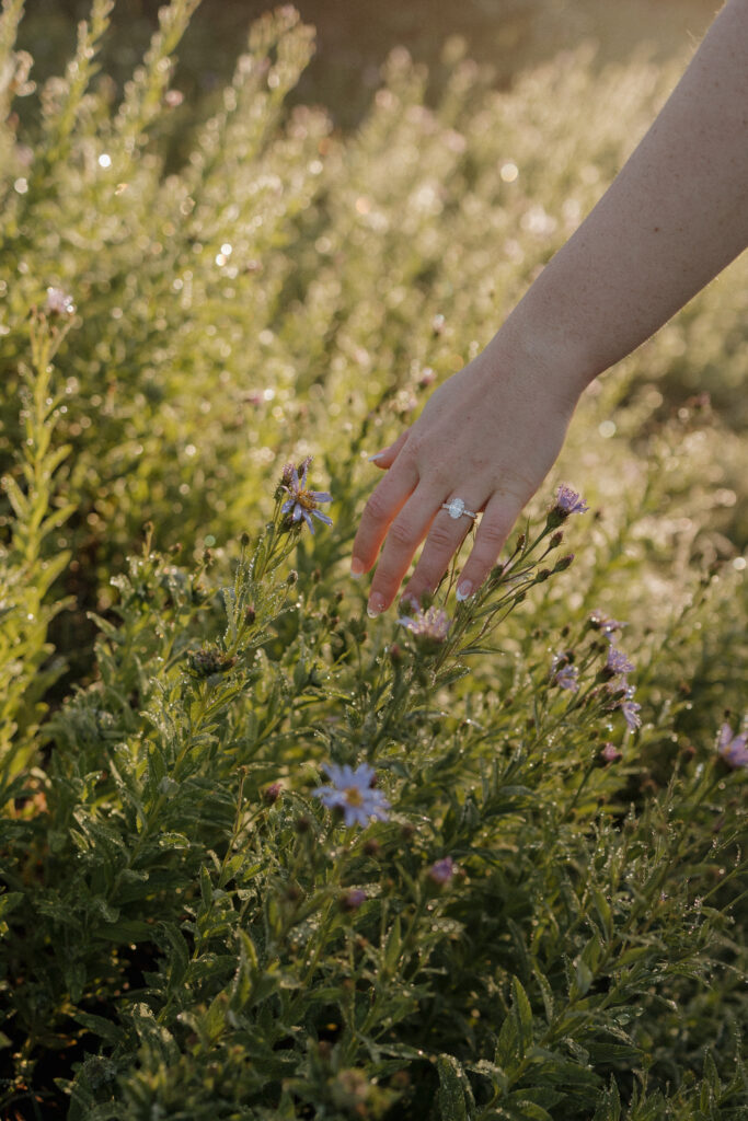 Mt Rainier Engagement 